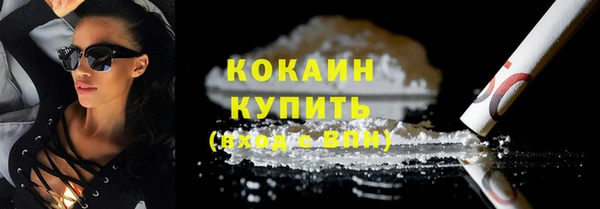 прущие грибы Армянск