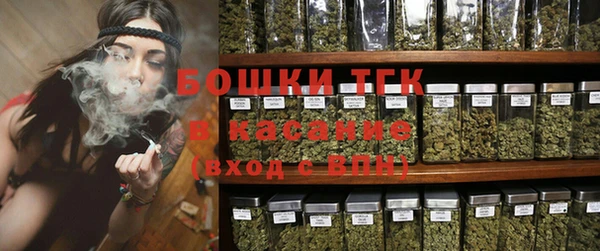 СК Аркадак