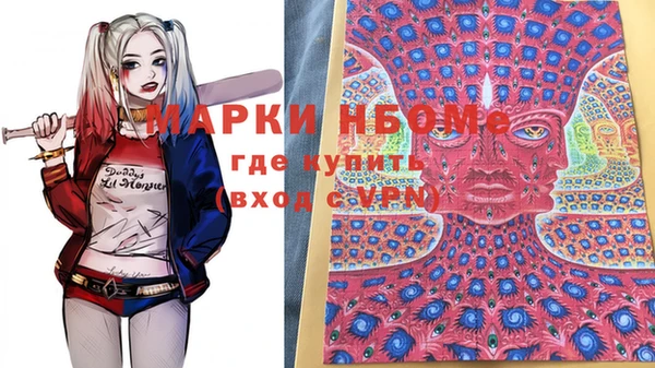 прущие грибы Армянск