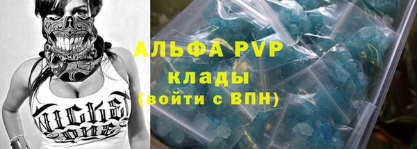 прущие грибы Армянск