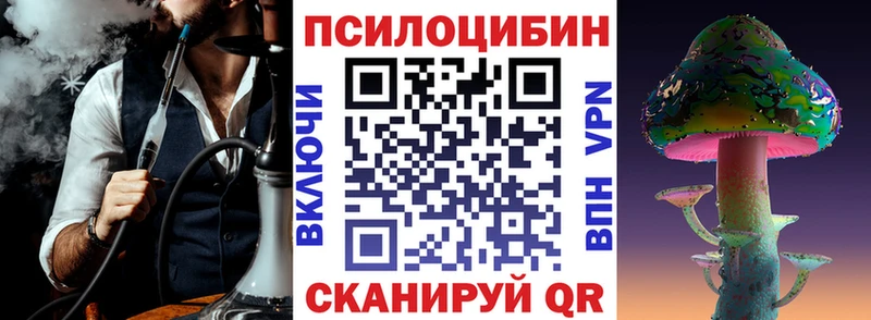 Галлюциногенные грибы Psilocybe  Яранск 